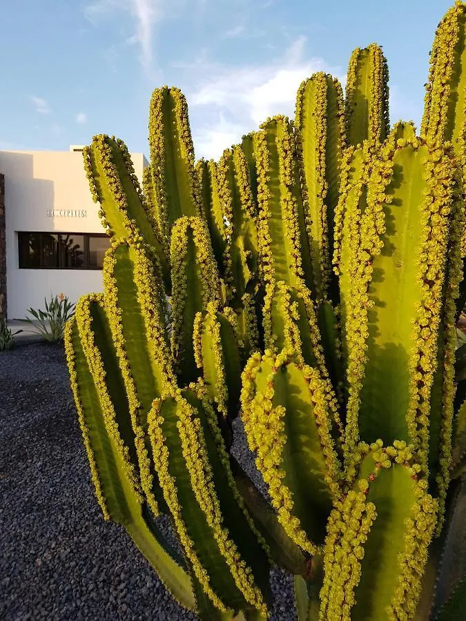 Holiday home El Capitan Villa Lajares